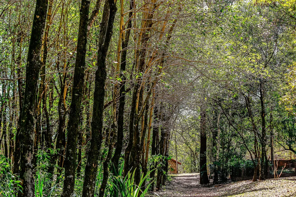 Parque Ecológico de São Carlos