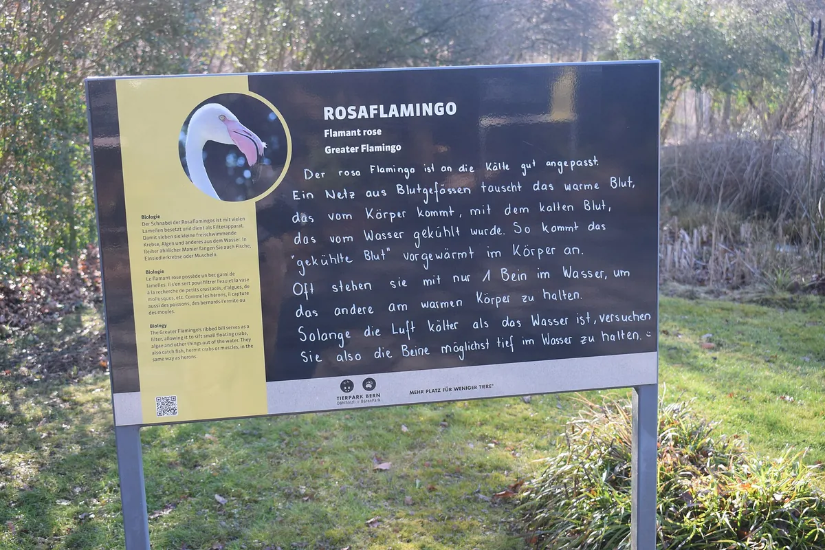 Tierpark Dählhölzli