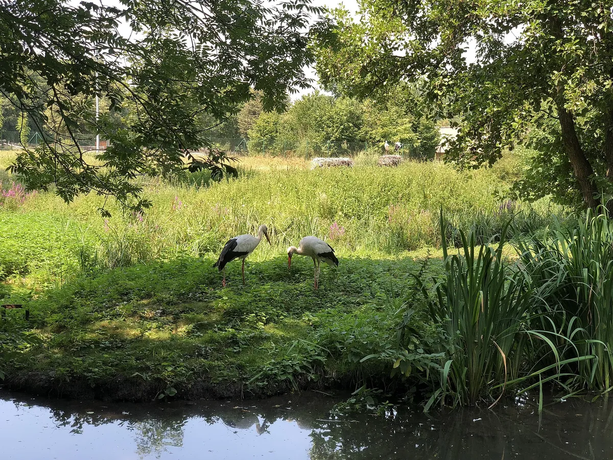 Tiergarten Straubing