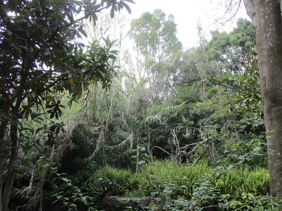 Zoologico de Chapultepec
