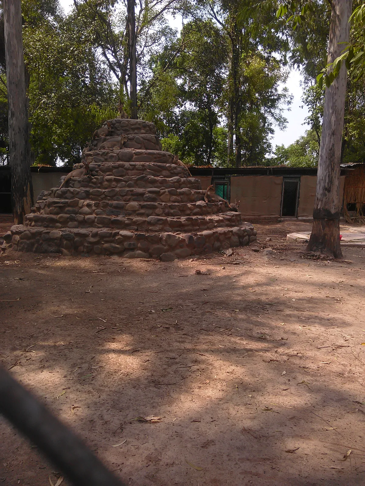 Chhatbir Zoo