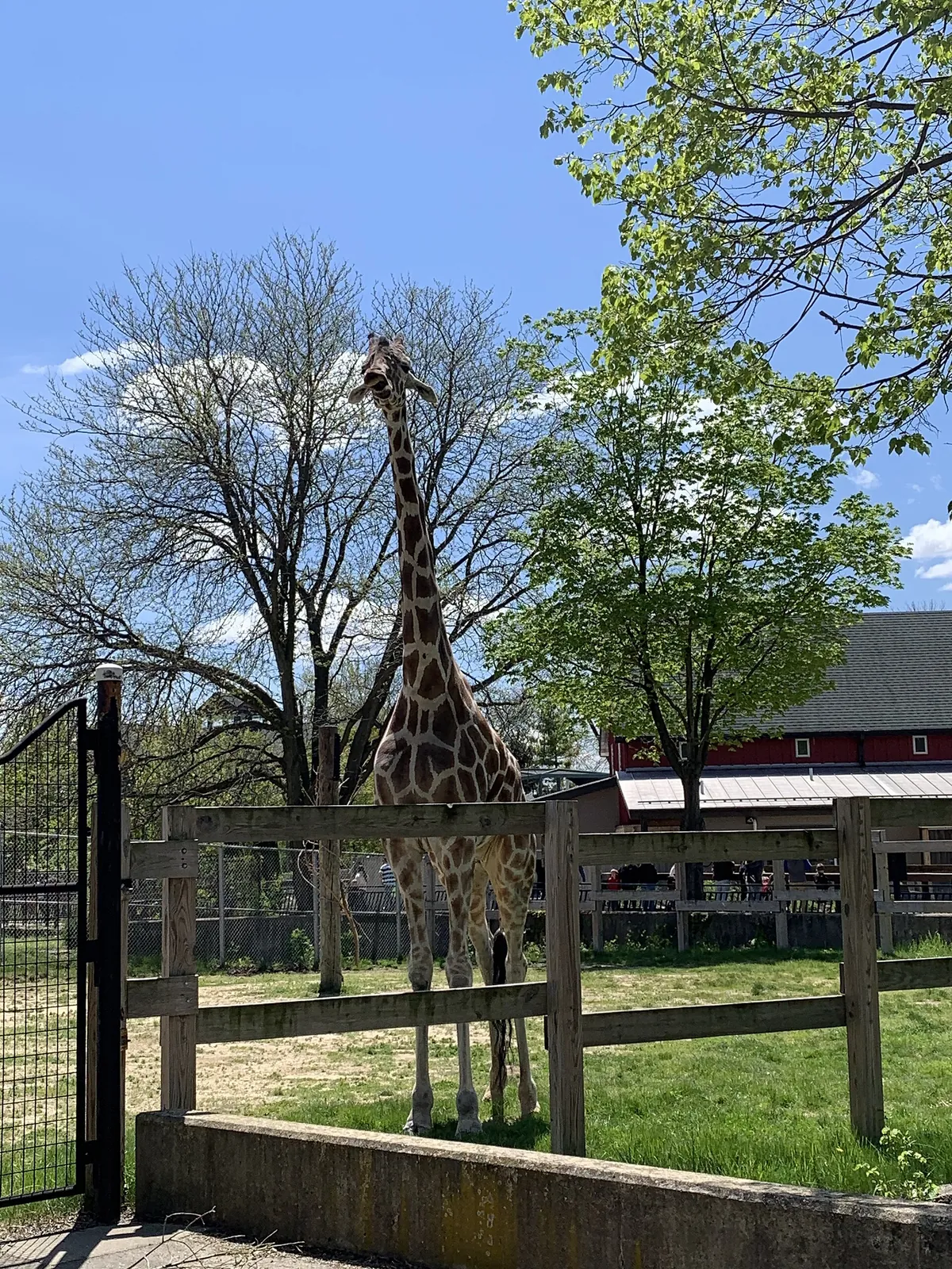 Henry Vilas Zoo