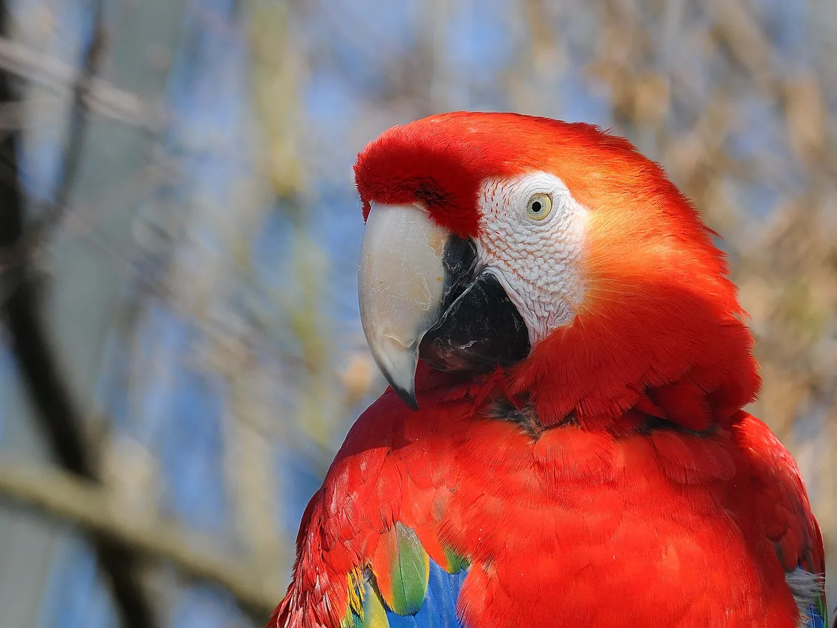 Walter Zoo