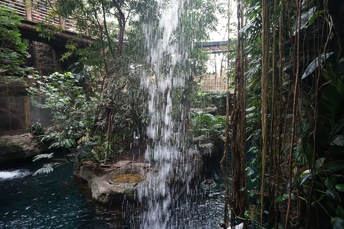 Dallas World Aquarium