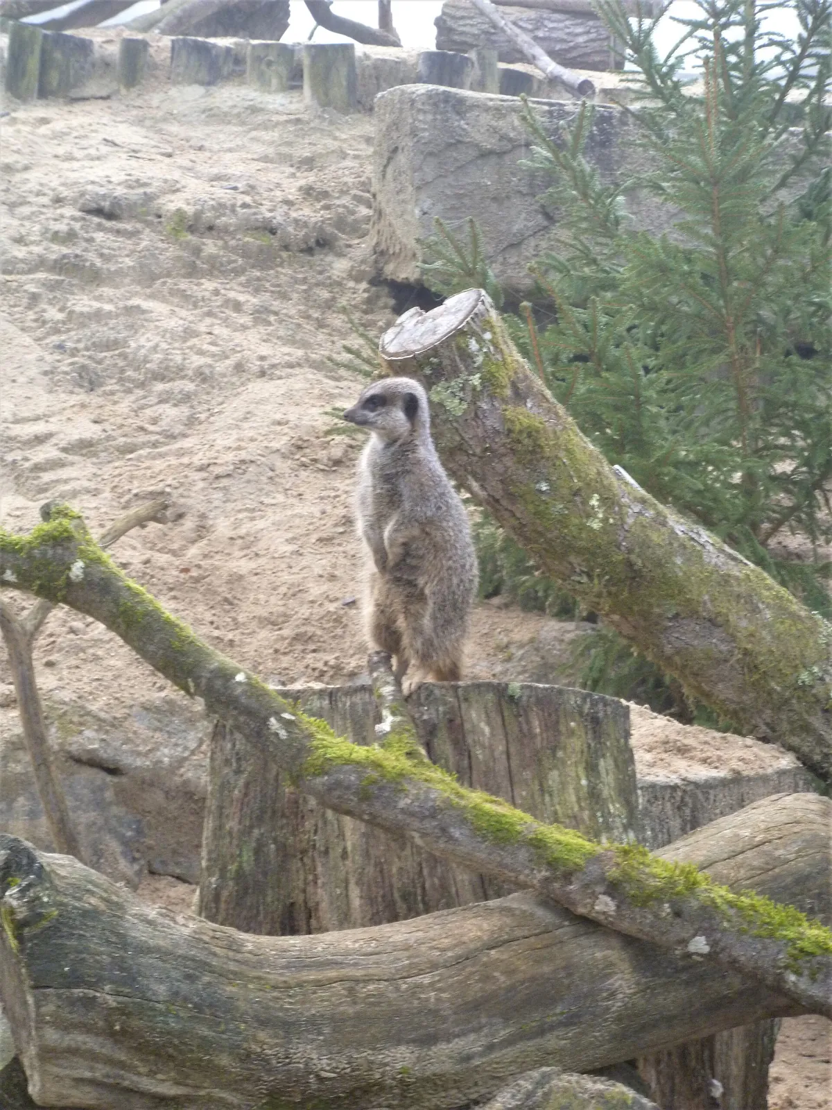 Longleat