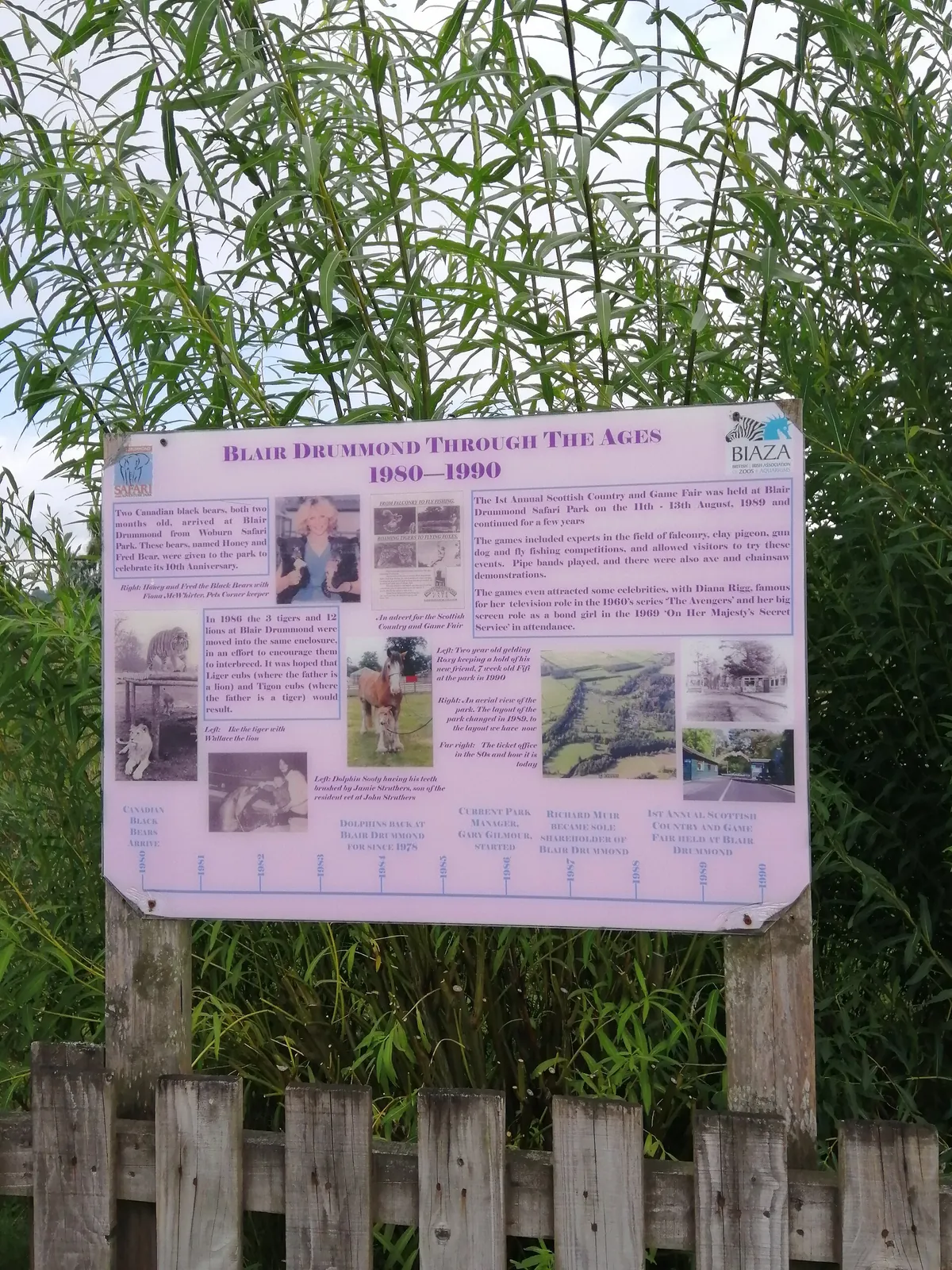 Blair Drummond Safari and Adventure Park