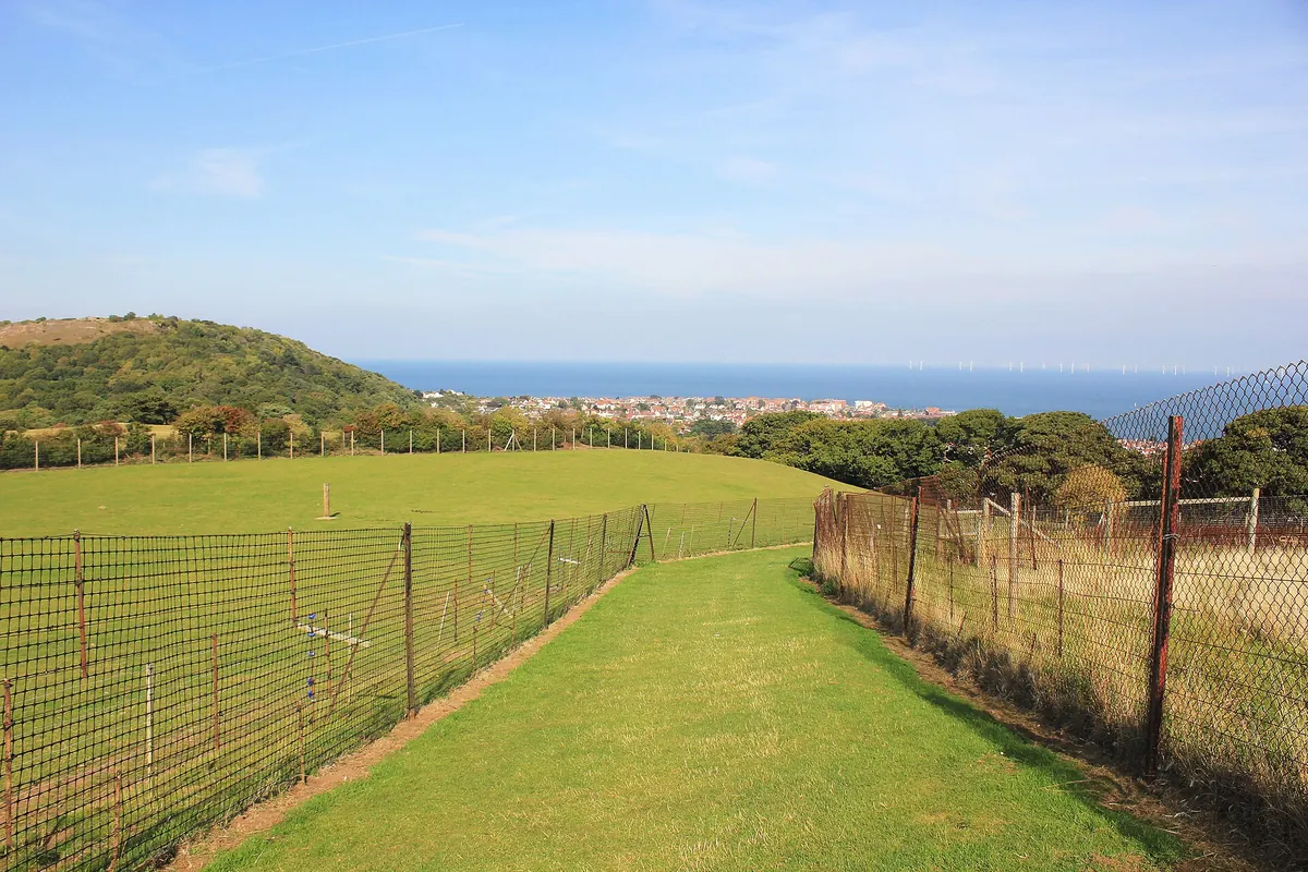 Welsh Mountain Zoo