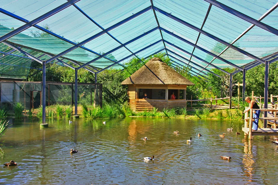 Vogelpark Marlow