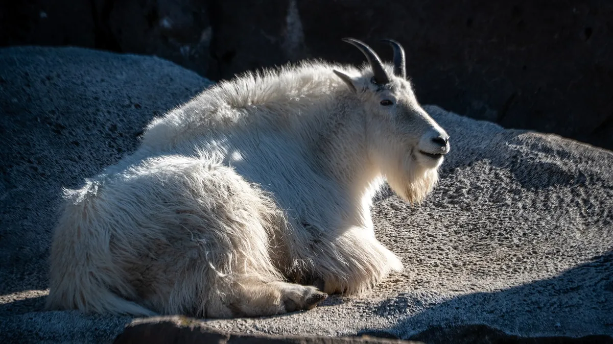 Oregon Zoo