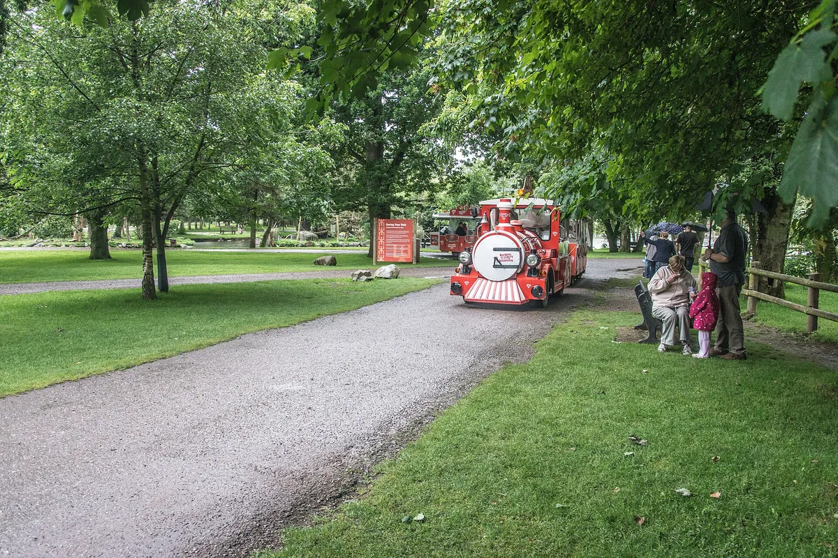 Fota Wildlife Park