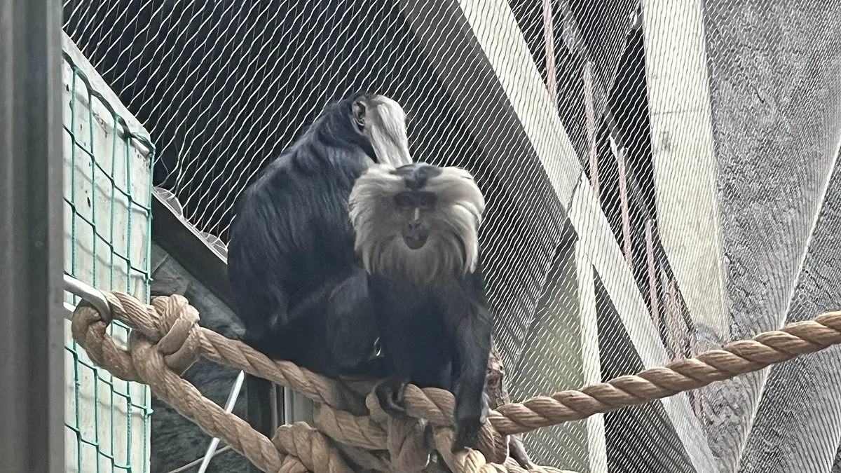 Łódź Zoo