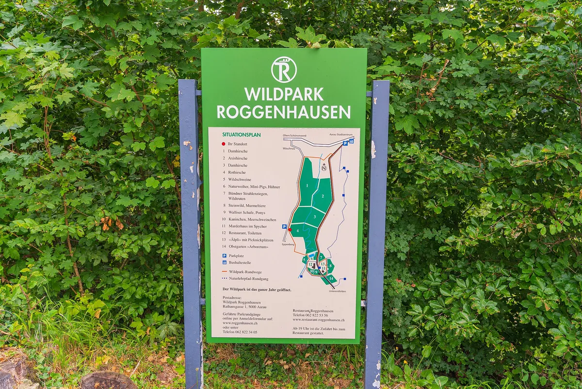 Wildpark Roggenhausen