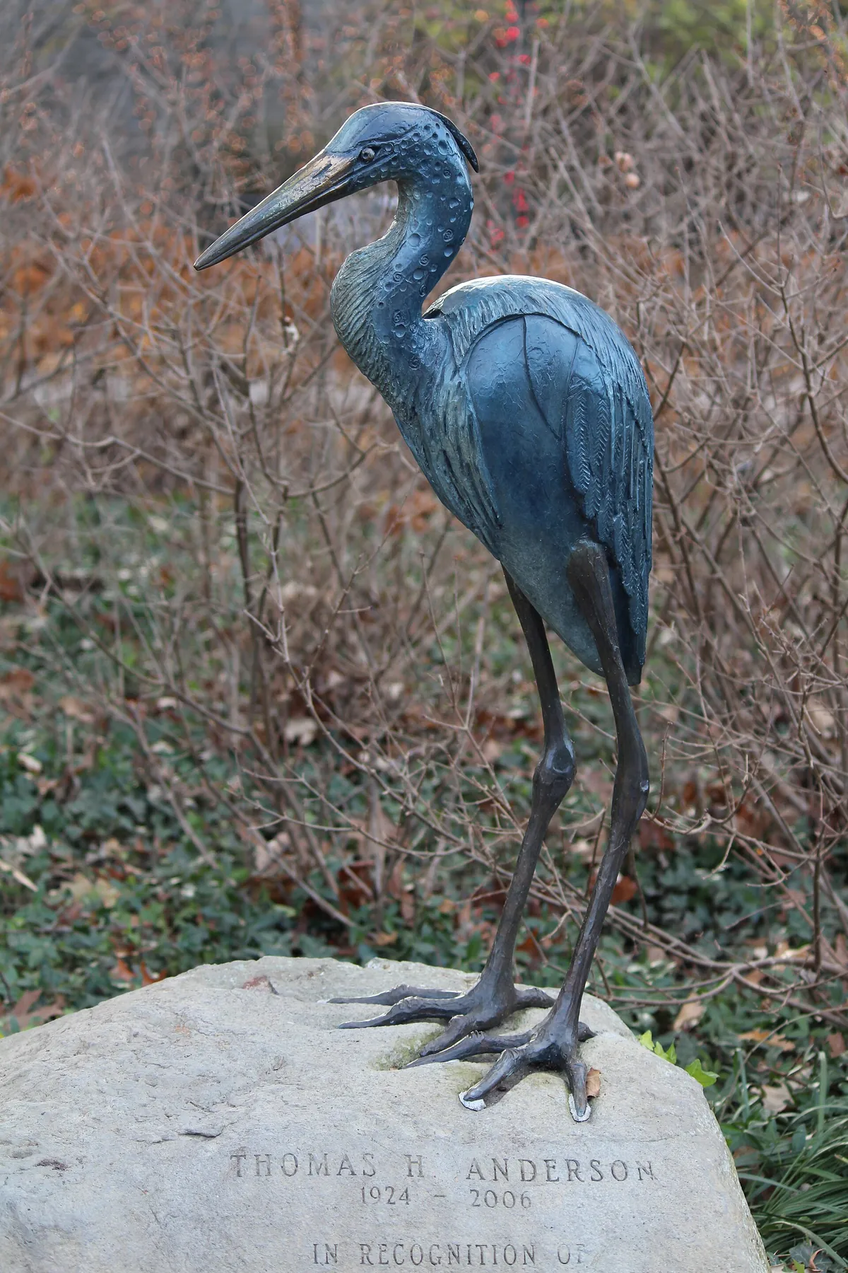 Toledo Zoo