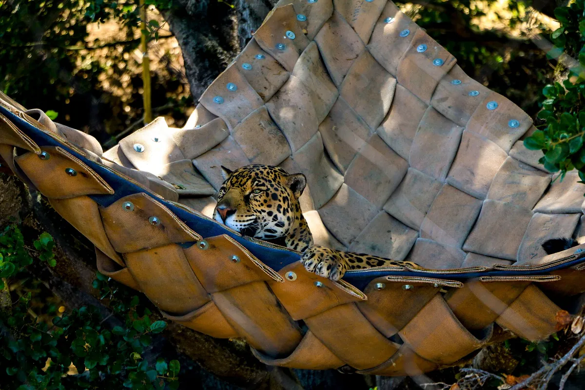 Oakland Zoo