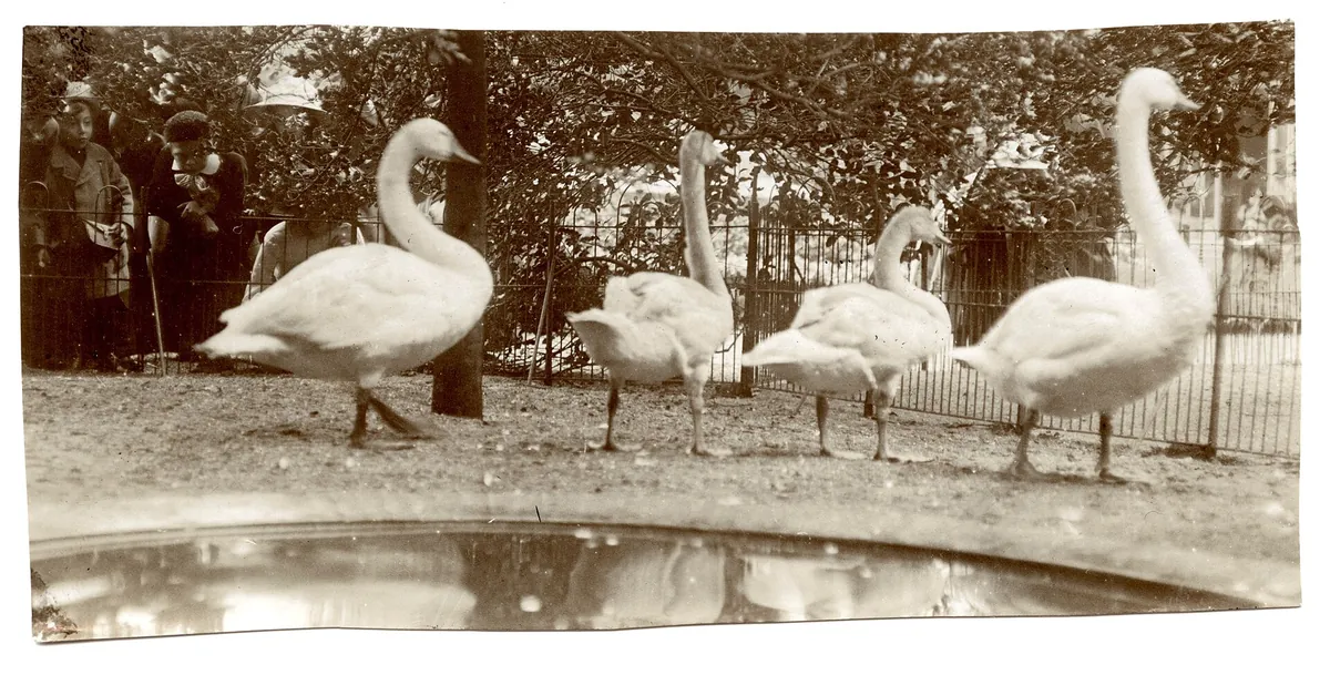 Artis Zoo