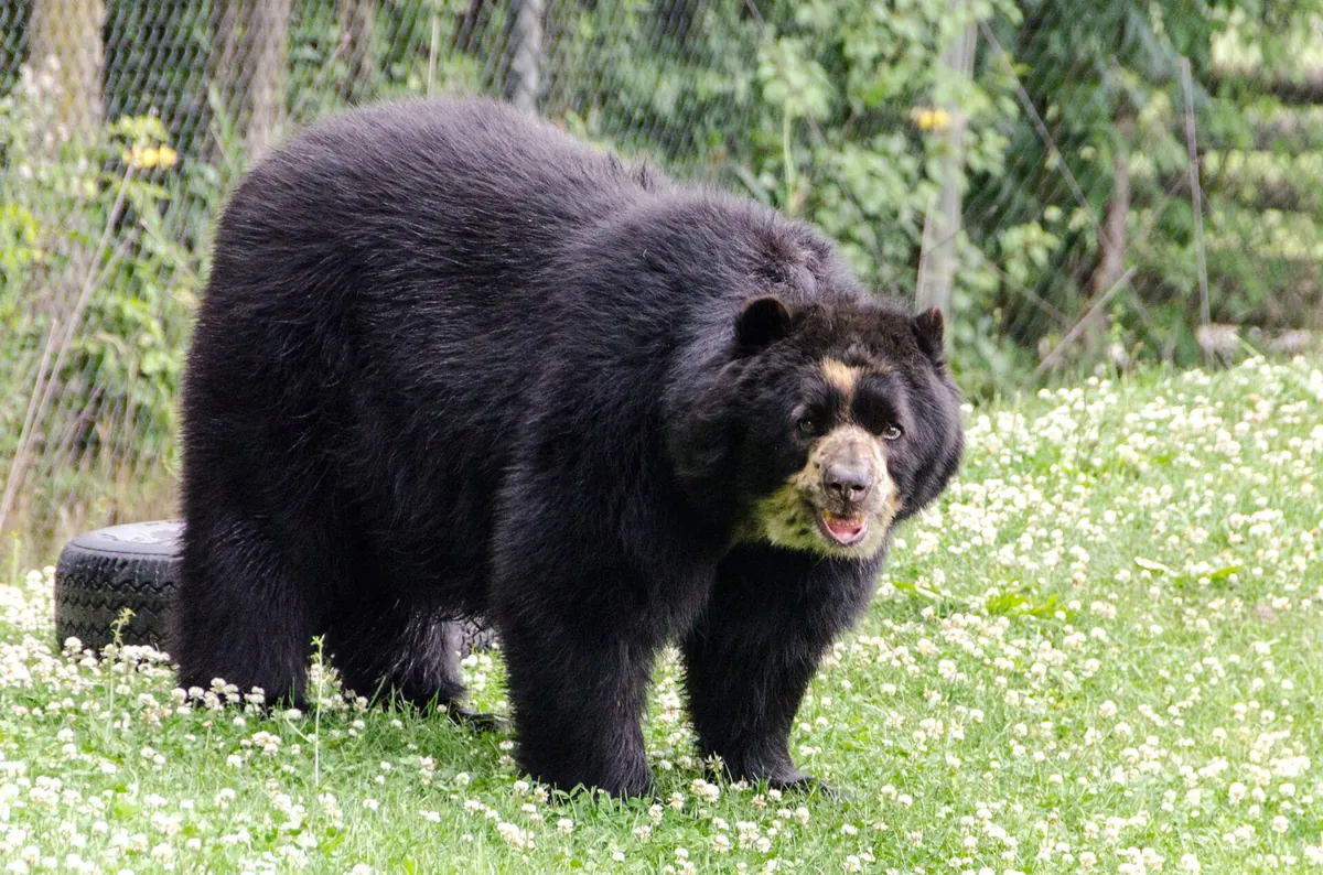 Racine Zoological Gardens