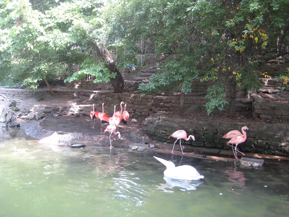 John Ball Zoo