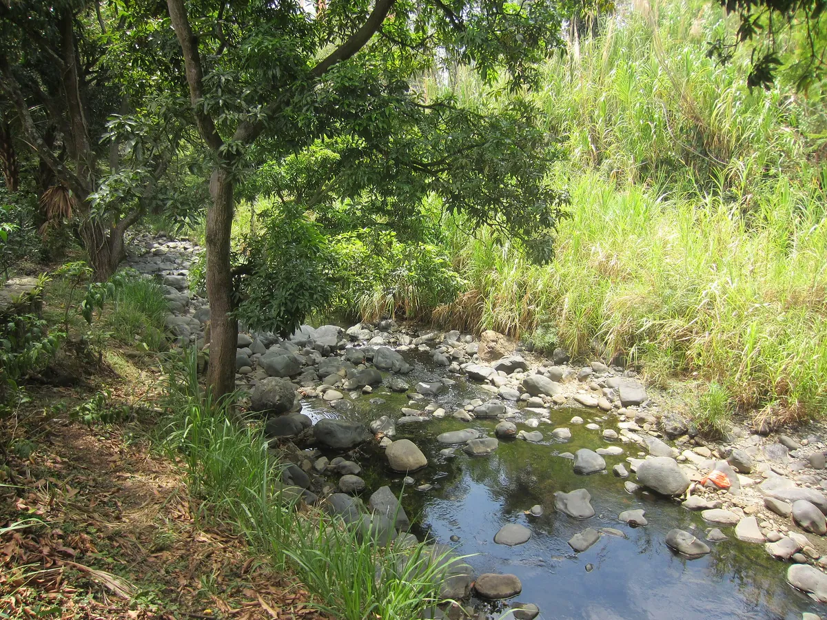 Zoológico de Cali