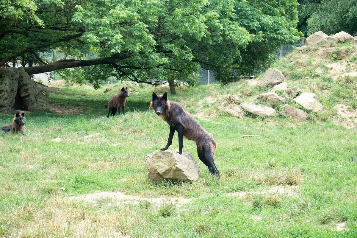 Parc de l'Auxois