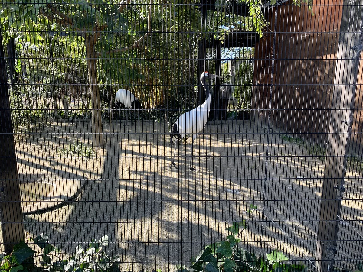 Kyoto City Zoo