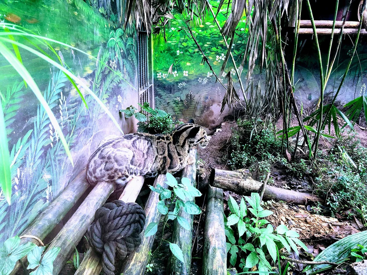 Chongqing Zoo