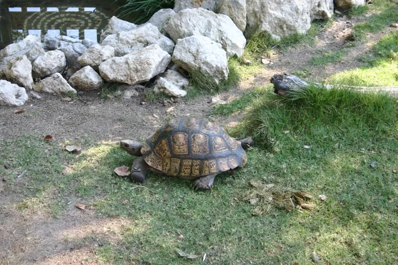 Frank Buck Zoo