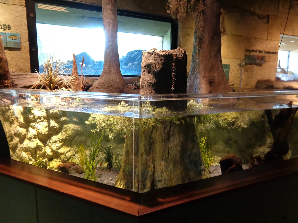 Flint RiverQuarium
