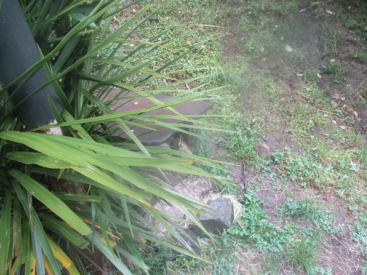 Wellington Zoo