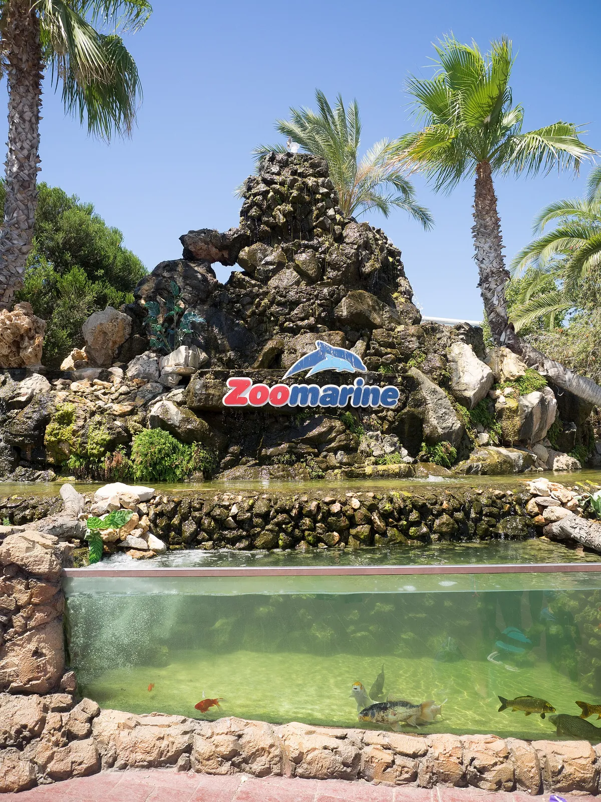 ZOOMARINE