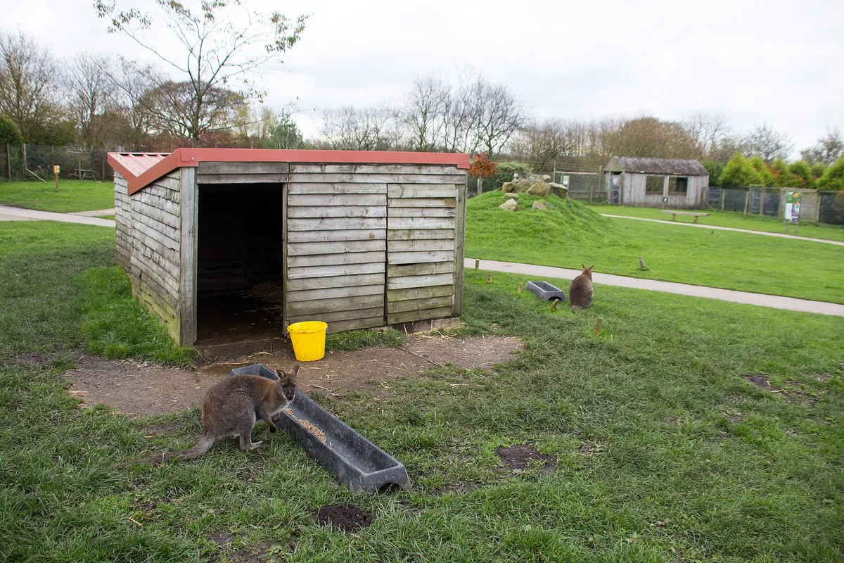 Peak Wildlife Park