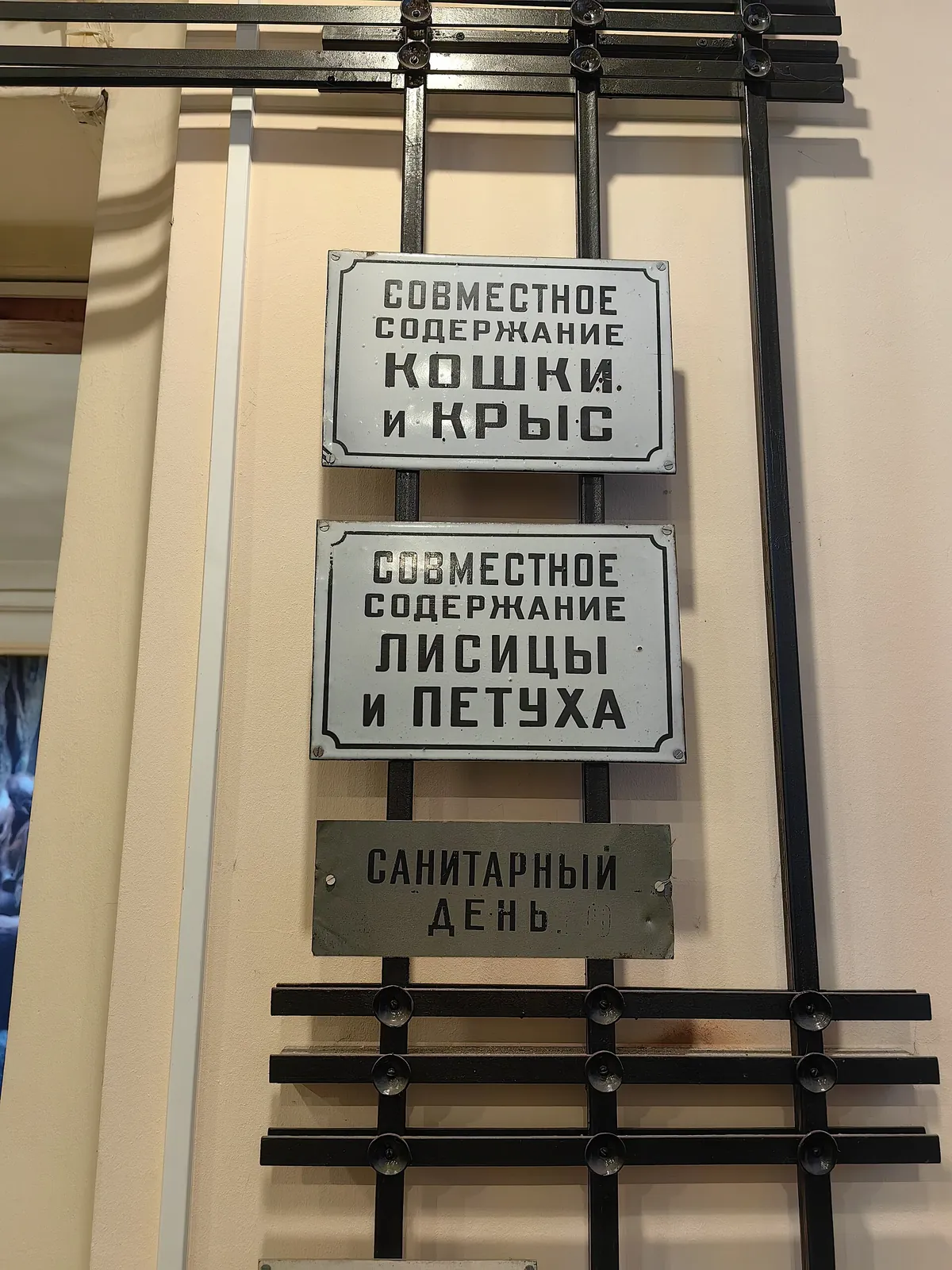 Московский зоопарк (Moscow Zoo)