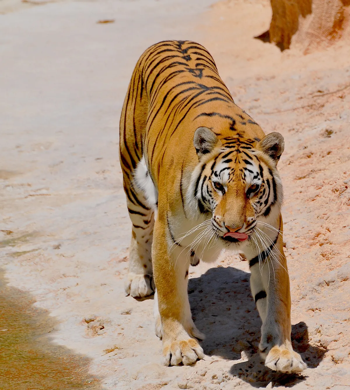 Terra Natura Benidorm
