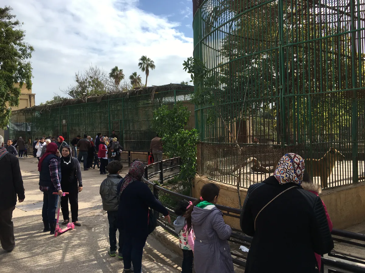 Alexandria Zoo