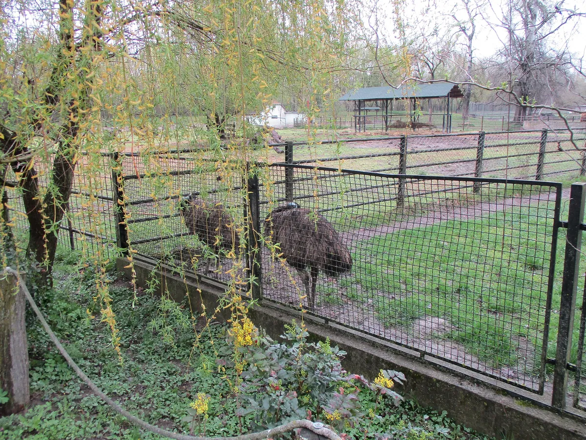 Osijek Zoo and Aquarium