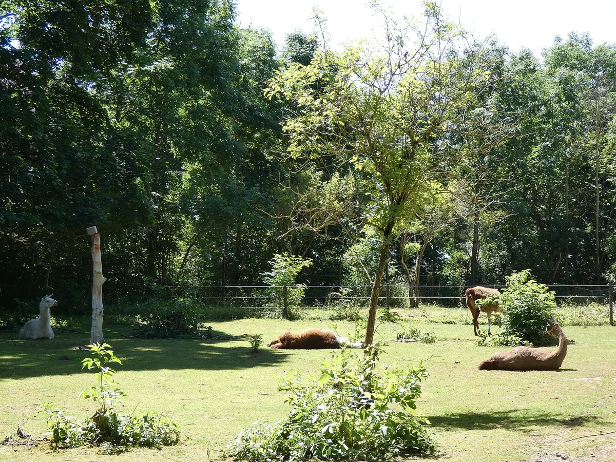 Zoo Aschersleben