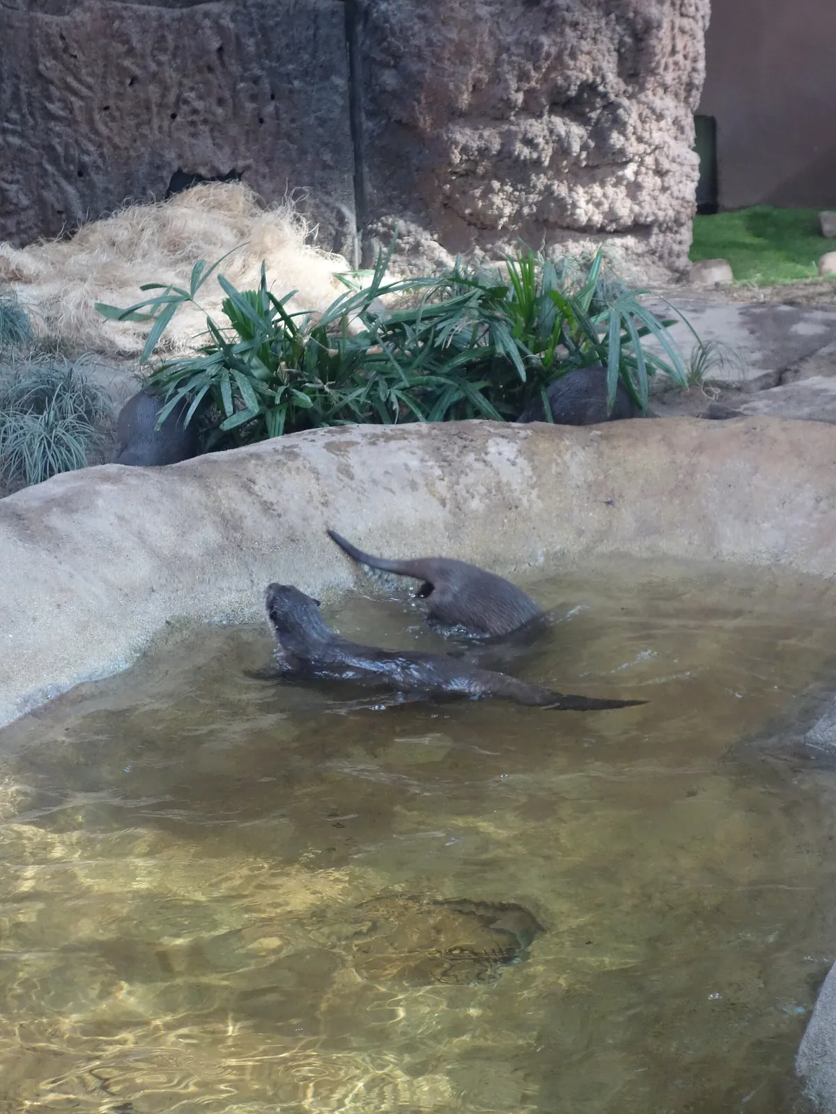 North Carolina Aquarium at Fort Fisher