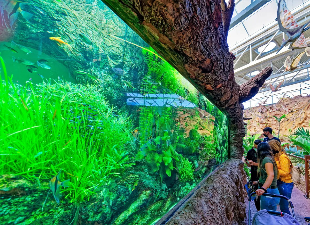 Poema del Mar Aquarium