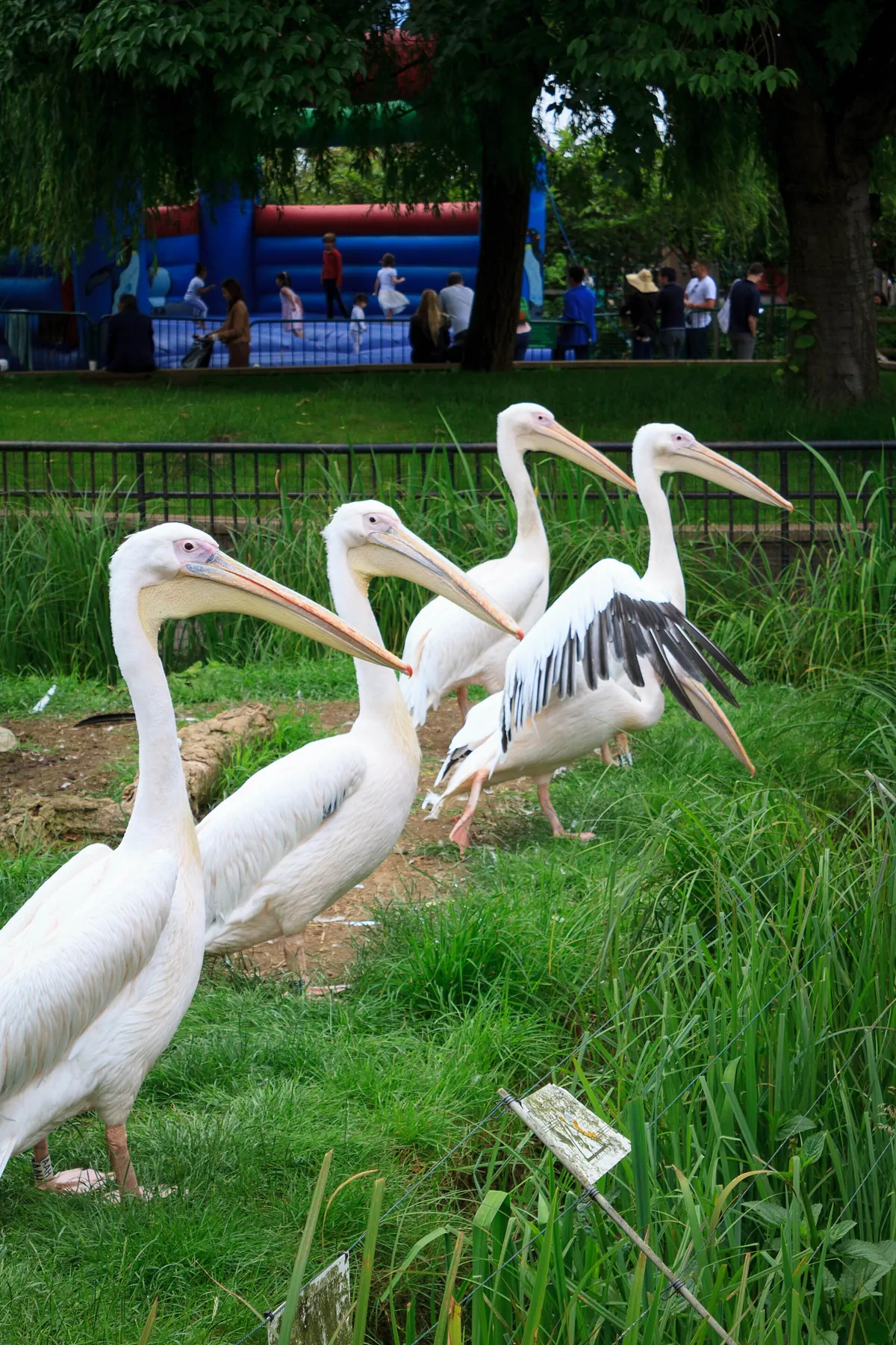 London Zoo