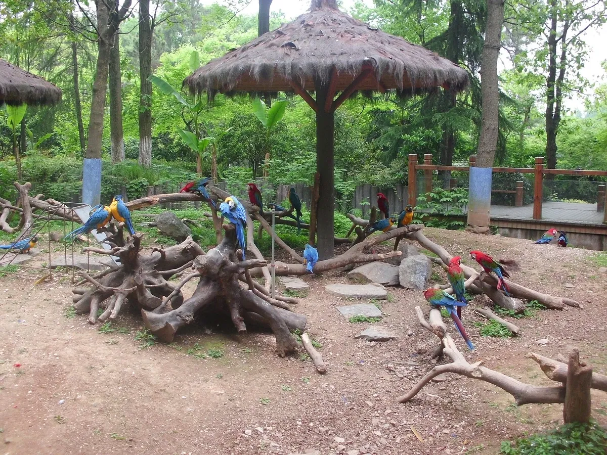 Hangzhou Zoo