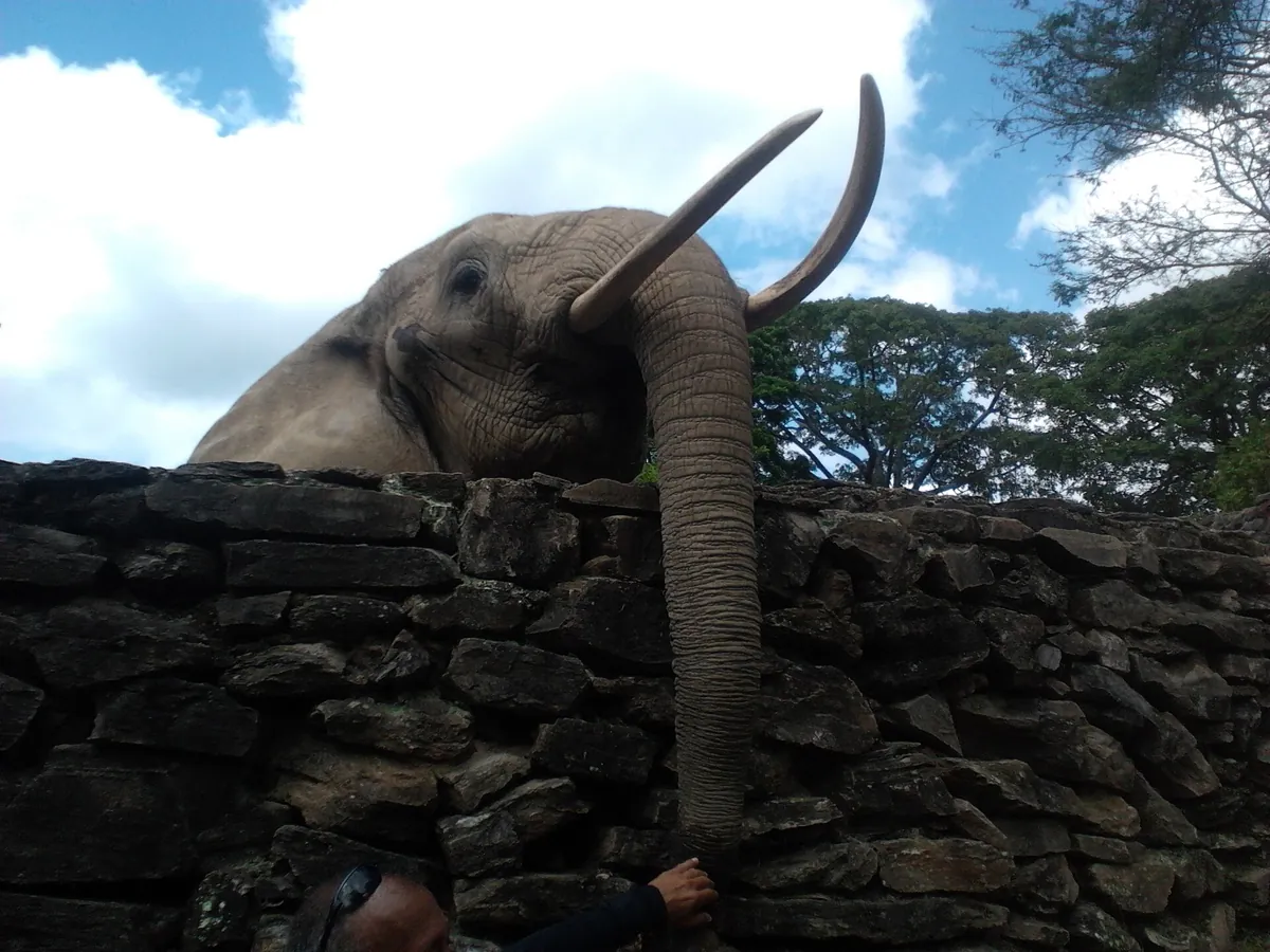 Parque Zoológico Caricuao
