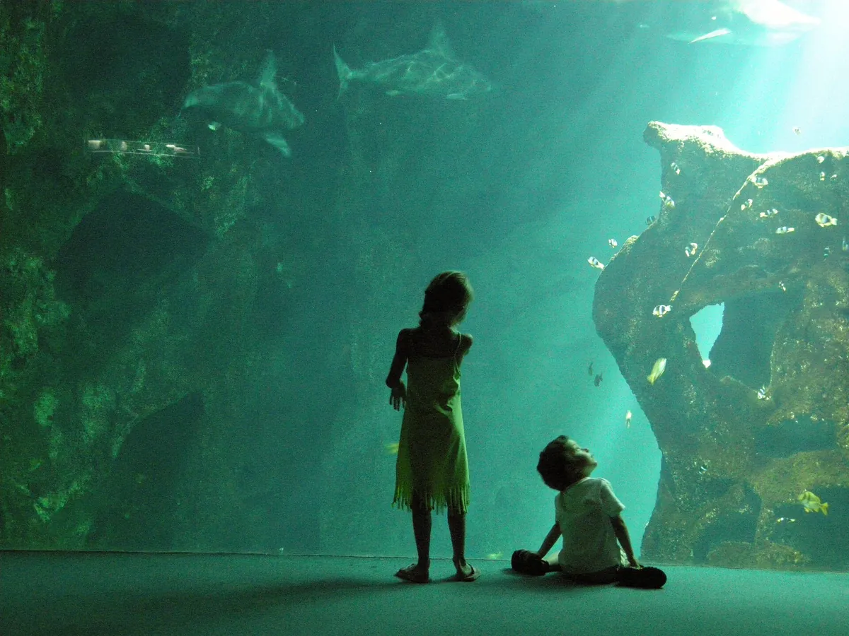 Aquarium de La Rochelle