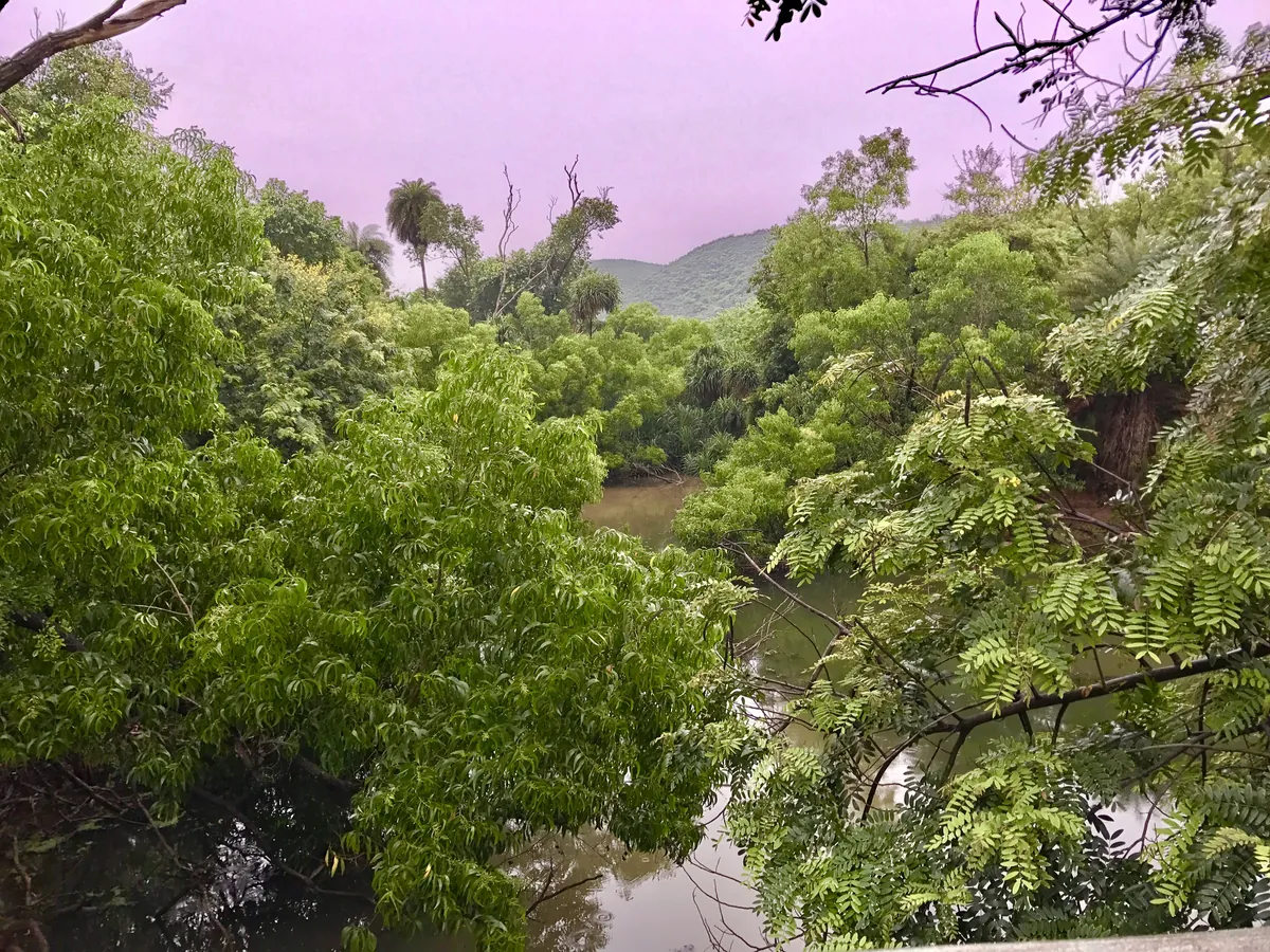 Indira Gandhi Zoological Park