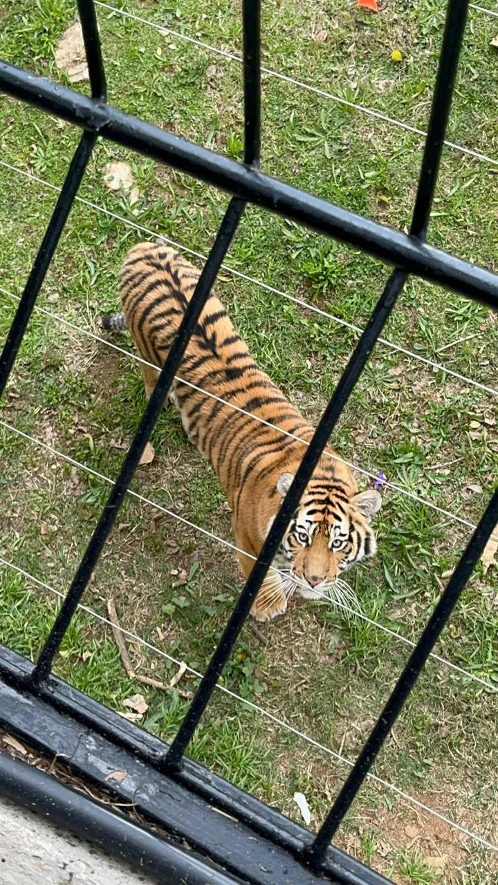 Johannesburg City Parks and Zoo