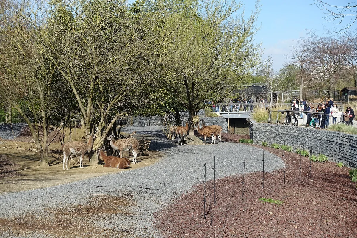 Paris Zoological Park