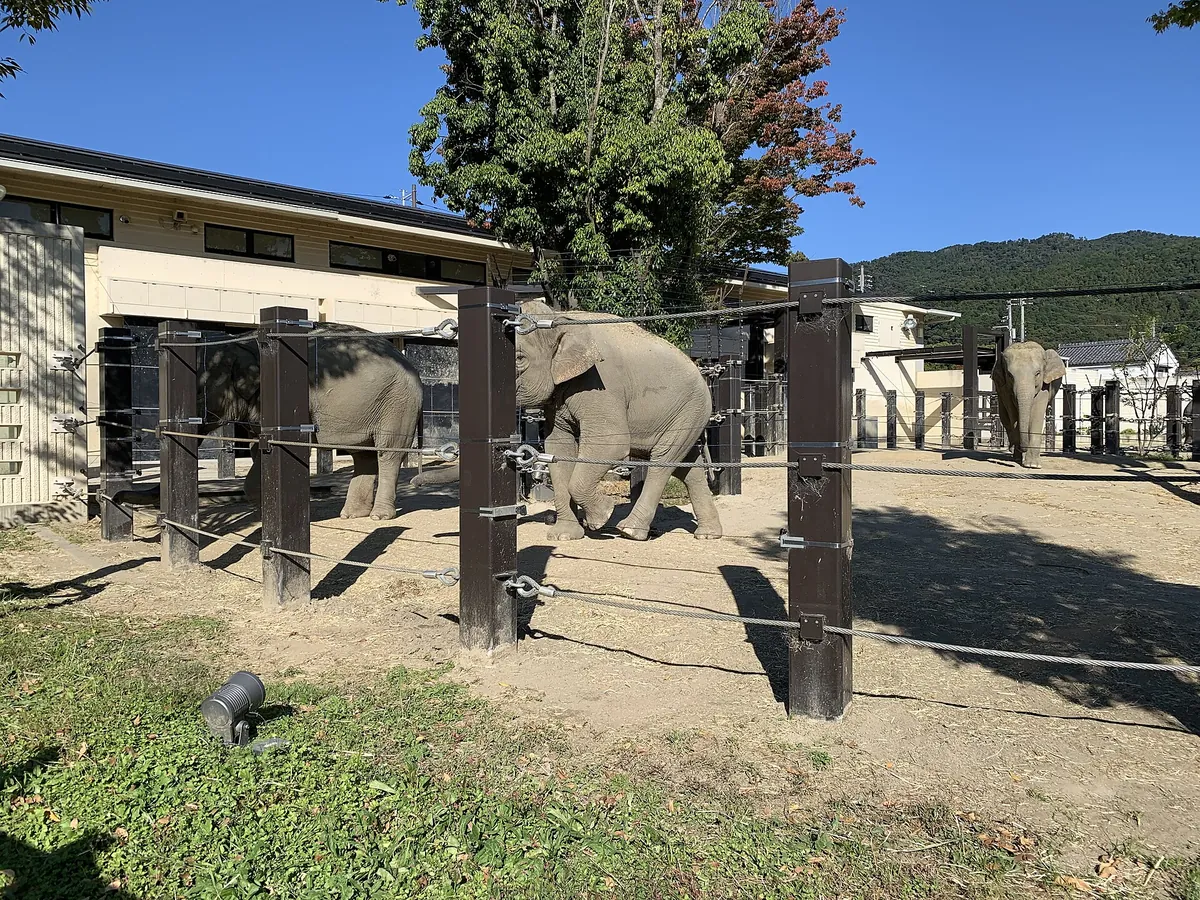 Kyoto City Zoo