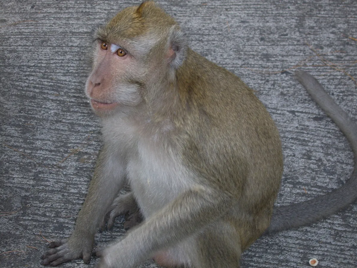 Taman Safari Indonesia 2
