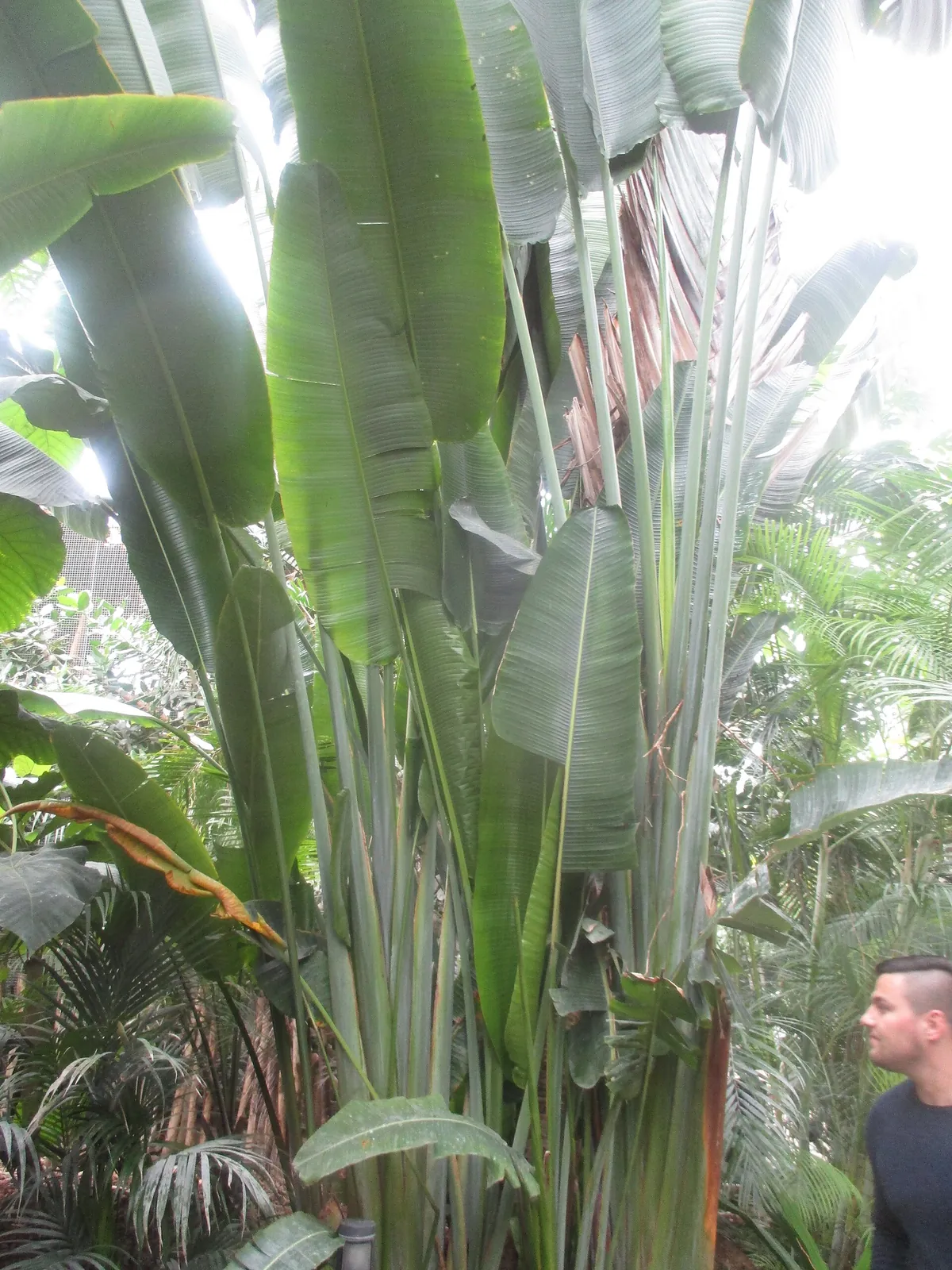 Paris Zoological Park
