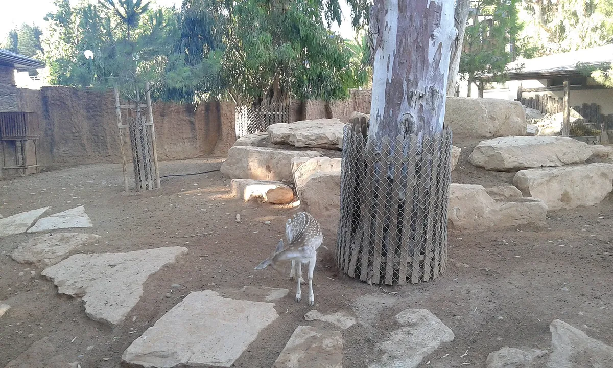 Limassol Zoo