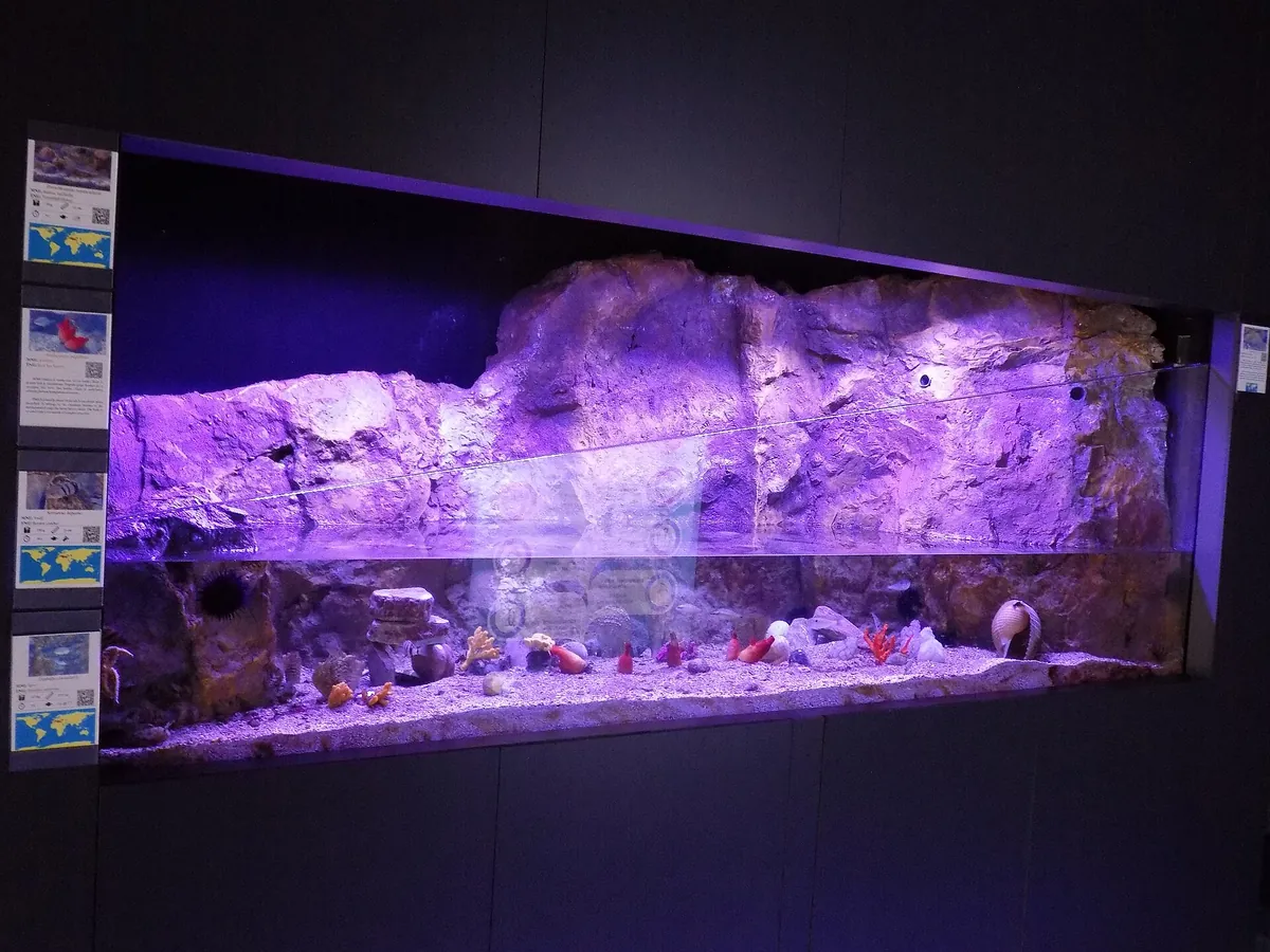 Aquarium Boka