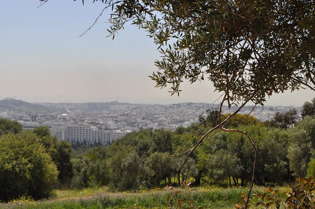 Parc du Belvédère